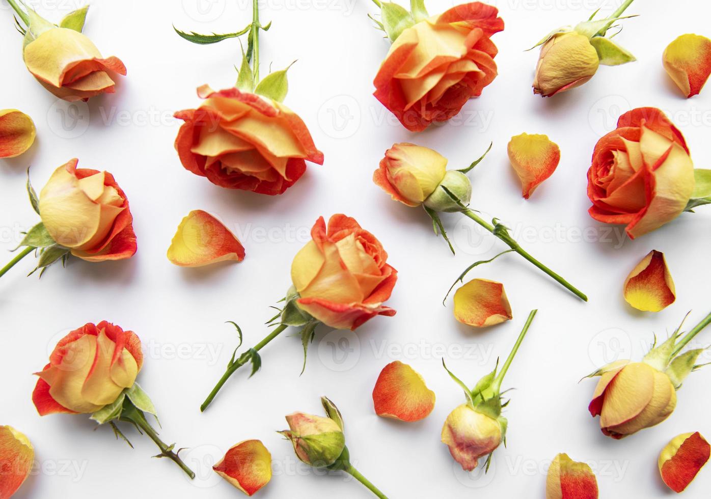 Blumen Zusammensetzung. Rahmen aus roten Rosen und Blättern auf weißem Hintergrund foto