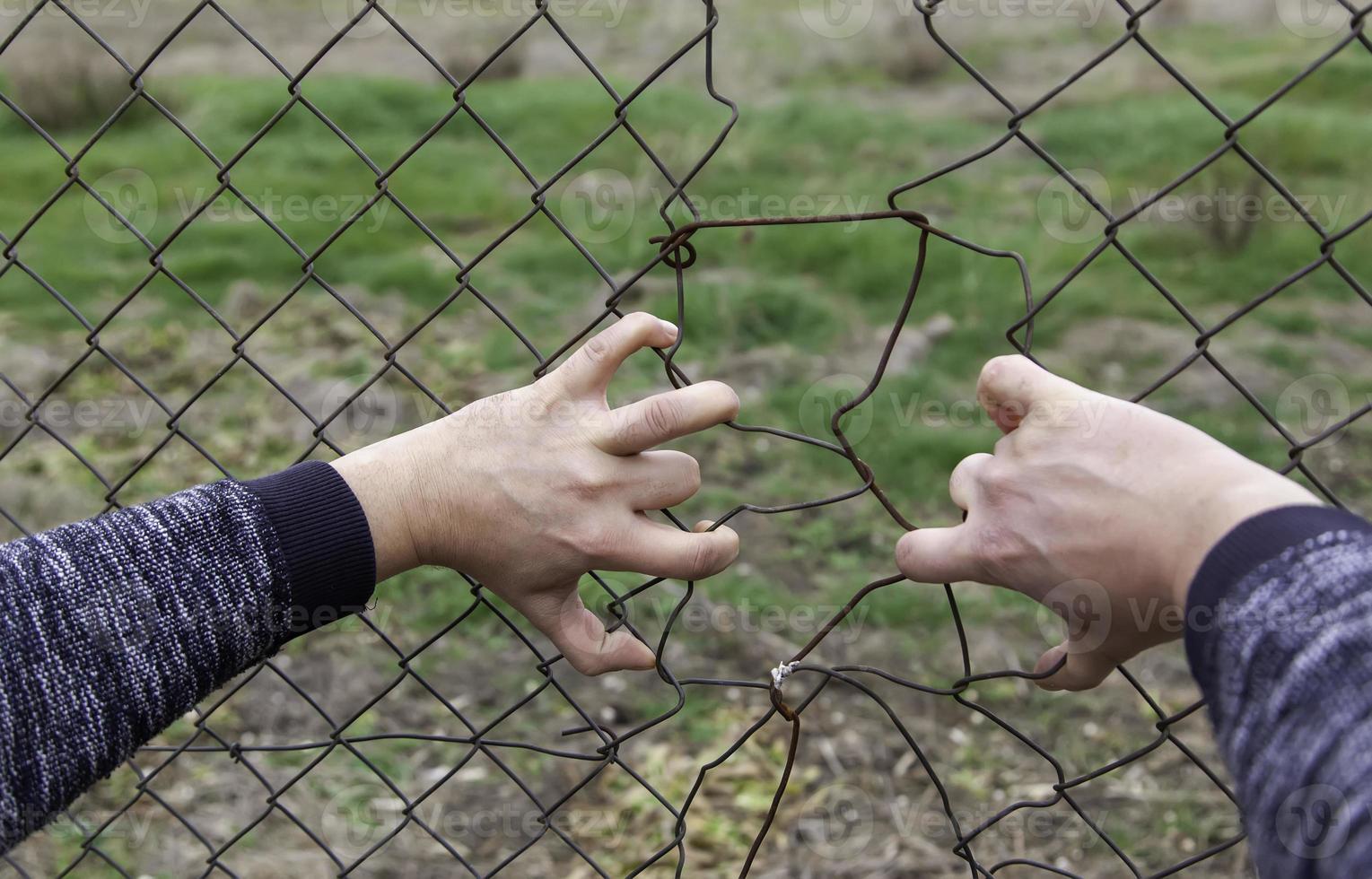 Einwanderung aus Stacheldraht foto