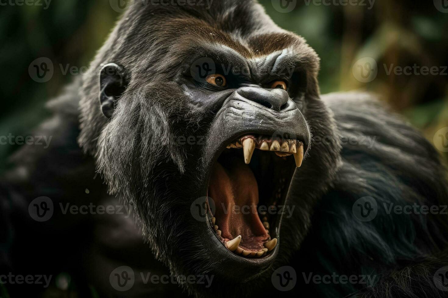 Nahansicht von ein wütend Gorilla entblößt es ist Zähne und grell intensiv im das wild foto