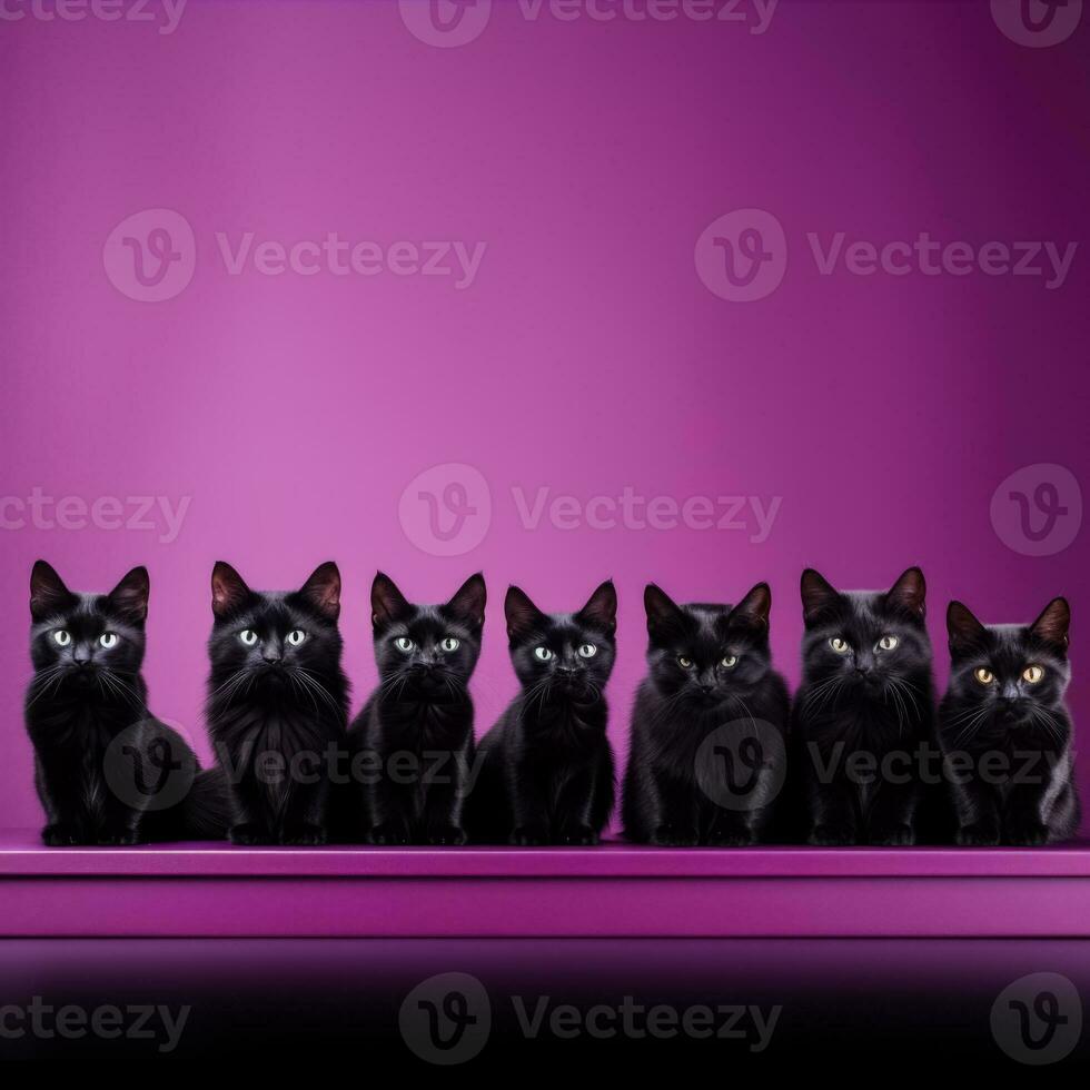 ein fesselnd Bild von schwarz Katze Silhouetten gegen ein tief lila Hintergrund Angebot reichlich leeren Raum zum Text foto