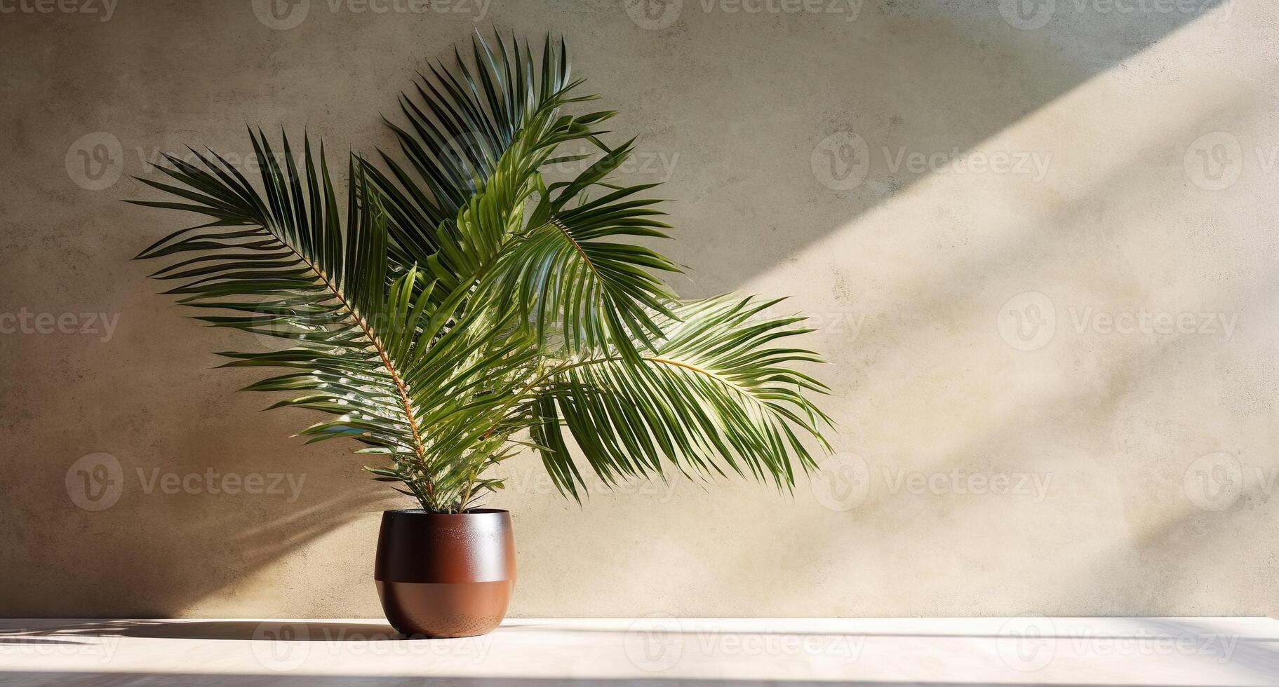 grau Zement Mauer und Boden, Palme Baum im Vase im ein Sonnenlicht, Schatten, Sonnenstrahlen bewirken von Fenster, zum Luxus Innere Design Dekoration, Produkt Anzeige Hintergrund. ai generativ foto