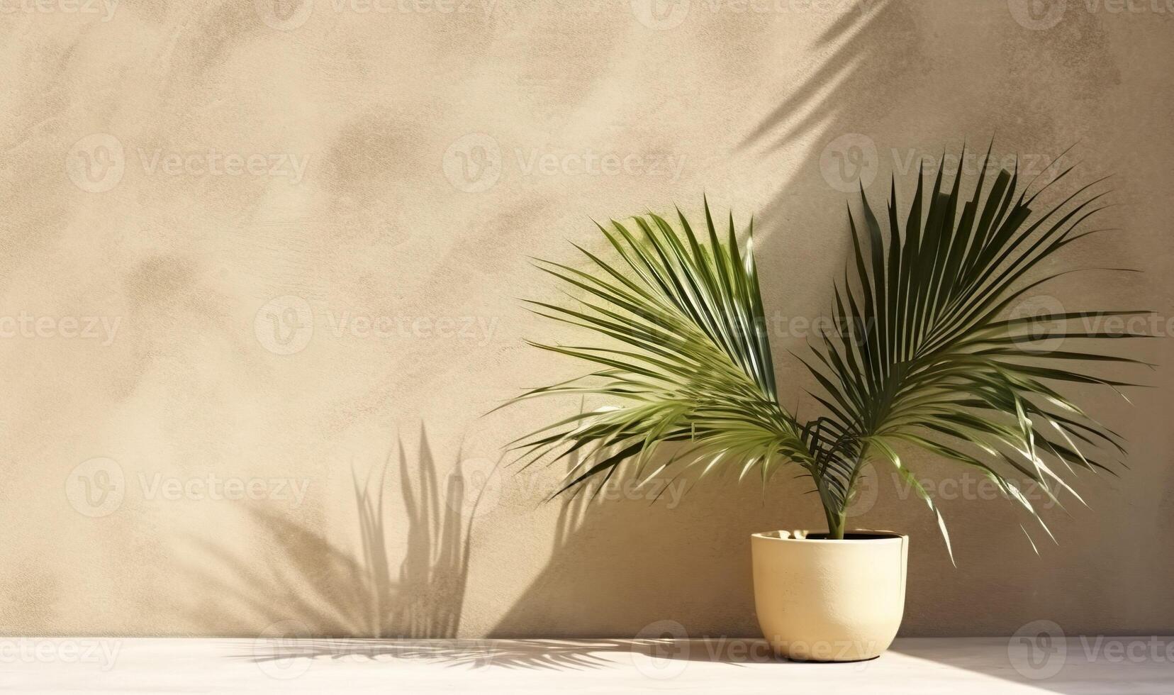 grau Zement Mauer und Boden, Palme Baum im Vase im ein Sonnenlicht, Schatten, Sonnenstrahlen bewirken von Fenster, zum Luxus Innere Design Dekoration, Produkt Anzeige Hintergrund. ai generativ foto