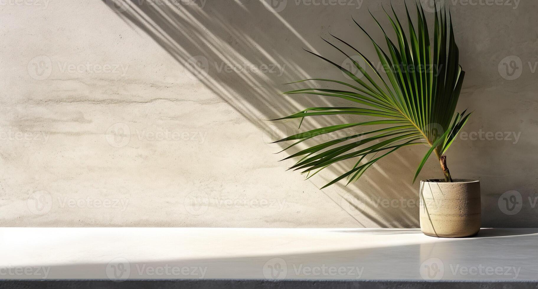 grau Zement Mauer und Boden, Palme Baum im Vase im ein Sonnenlicht, Schatten, Sonnenstrahlen bewirken von Fenster, zum Luxus Innere Design Dekoration, Produkt Anzeige Hintergrund. ai generativ foto