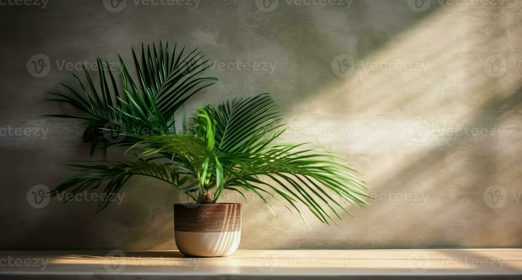 grau Zement Mauer und Boden, Palme Baum im Vase im ein Sonnenlicht, Schatten, Sonnenstrahlen bewirken von Fenster, zum Luxus Innere Design Dekoration, Produkt Anzeige Hintergrund. ai generativ foto