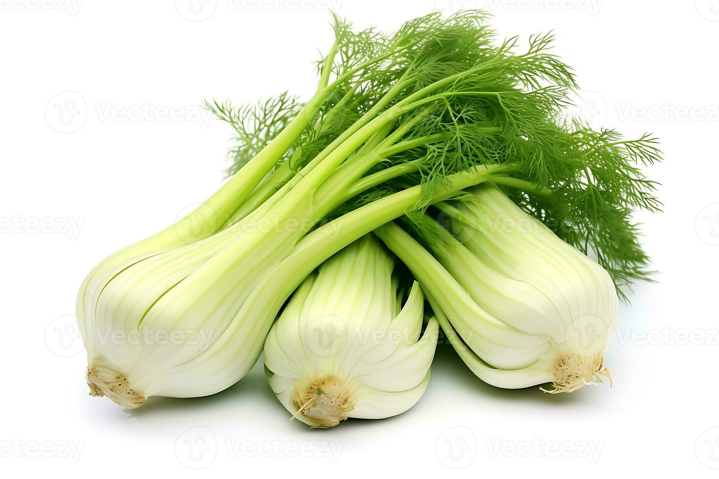 Fenchel Gemüse isoliert auf Weiß Hintergrund ai generiert foto