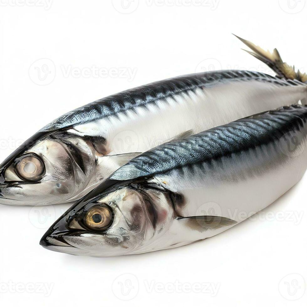 roh Makrele Fisch isoliert auf Weiß Hintergrund. ai generativ foto