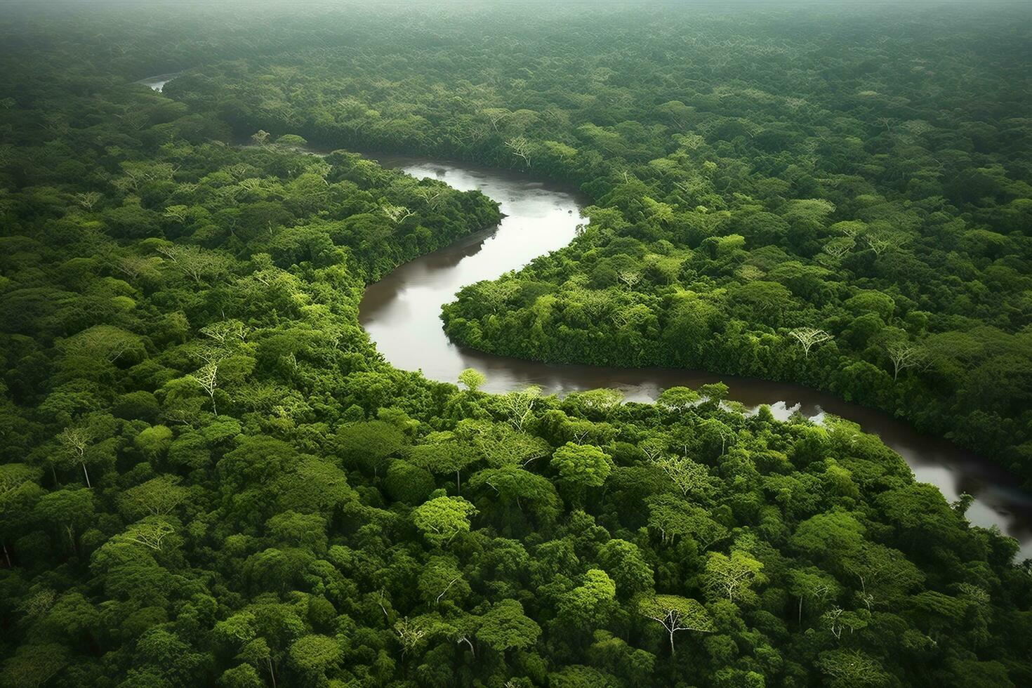 Antenne Aussicht von das Amazonas Urwald Landschaft mit Fluss biegen. generativ ai foto