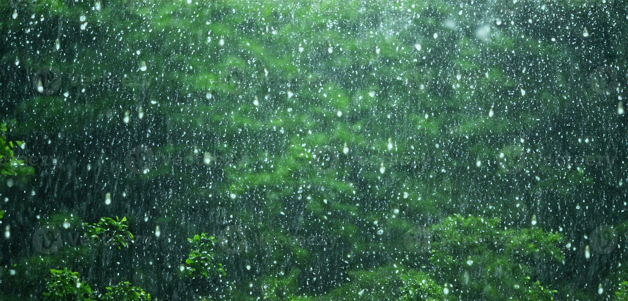 Regen im das Kiefer Wald schwer Nebel üppig Landschaft im das regnerisch Jahreszeit 3d Illustration foto