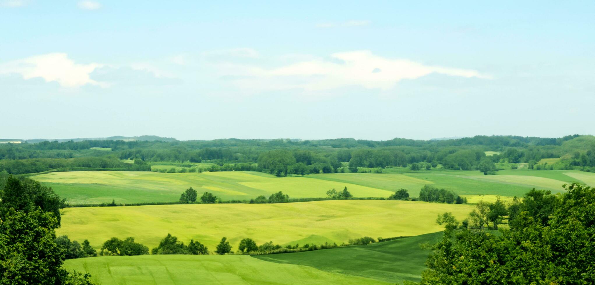 Wiese Hügel ländlich Landschaft Land und Himmel Horizont 3d Illustration foto