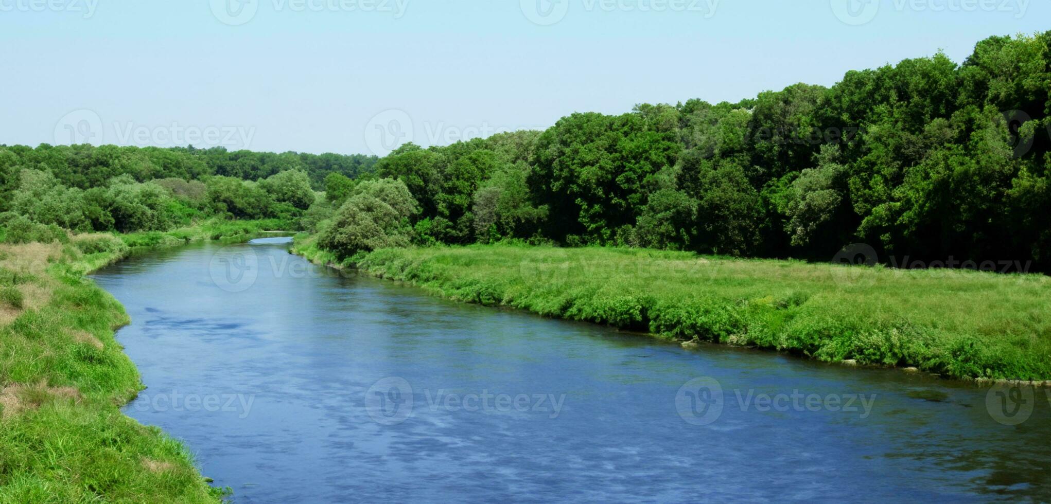 breit Fluss umgeben durch das Natur von Grün Bäume und Flüsse während das Tag foto