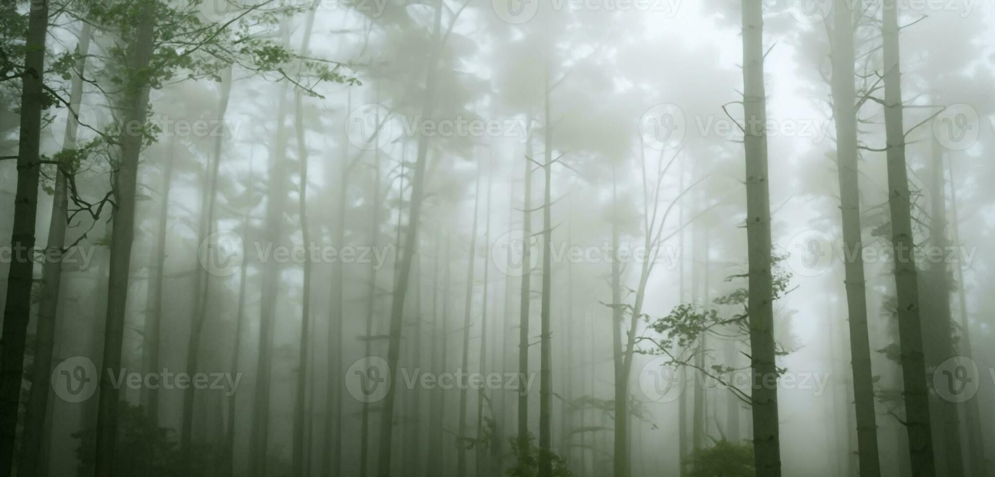 das Kiefer Wald war voll von Rauch unheimlich Geheimnis groß Baum umgeben durch Nebel im Winter 3d Illustration foto