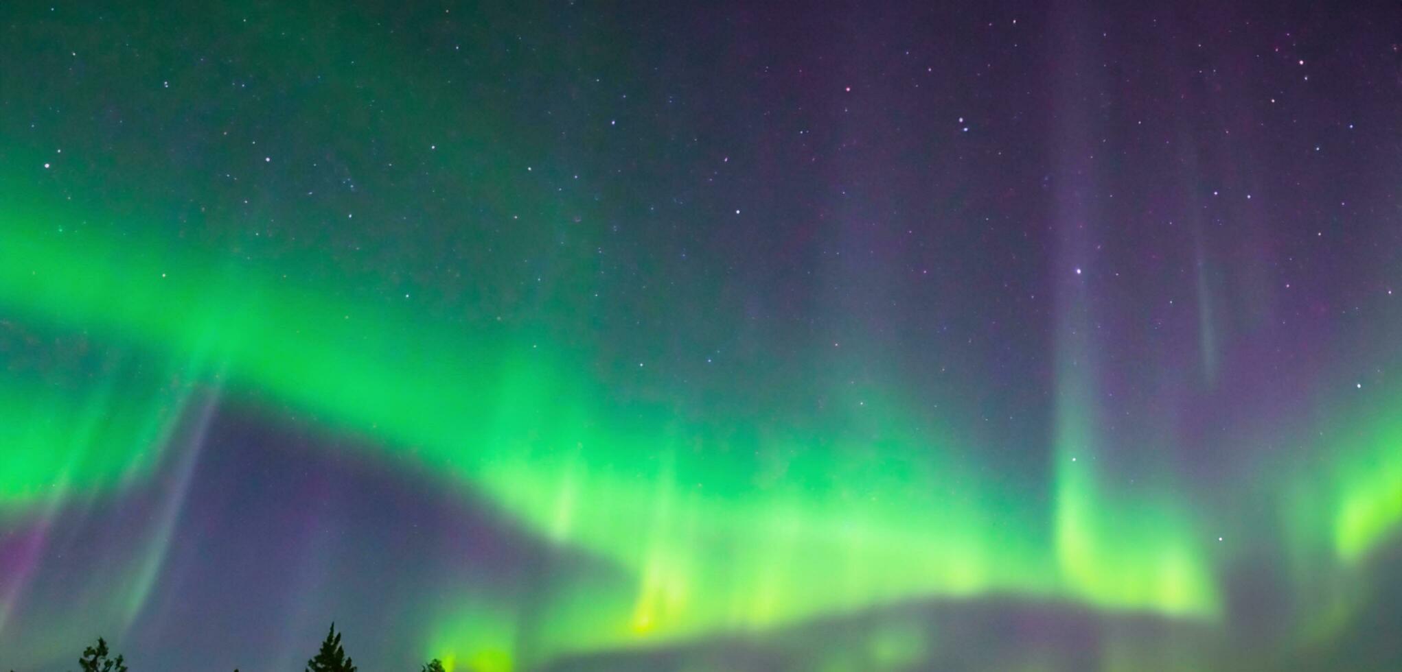 Nord Beleuchtung im das Himmel Aurora Grün Licht im das Himmel Norwegen Norden Pole 3d Illustration foto