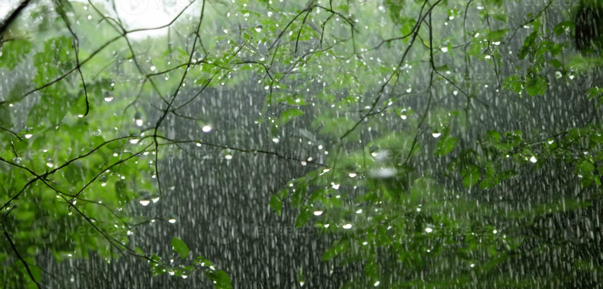 Regen im das Kiefer Wald schwer Nebel üppig Landschaft im das regnerisch Jahreszeit 3d Illustration foto