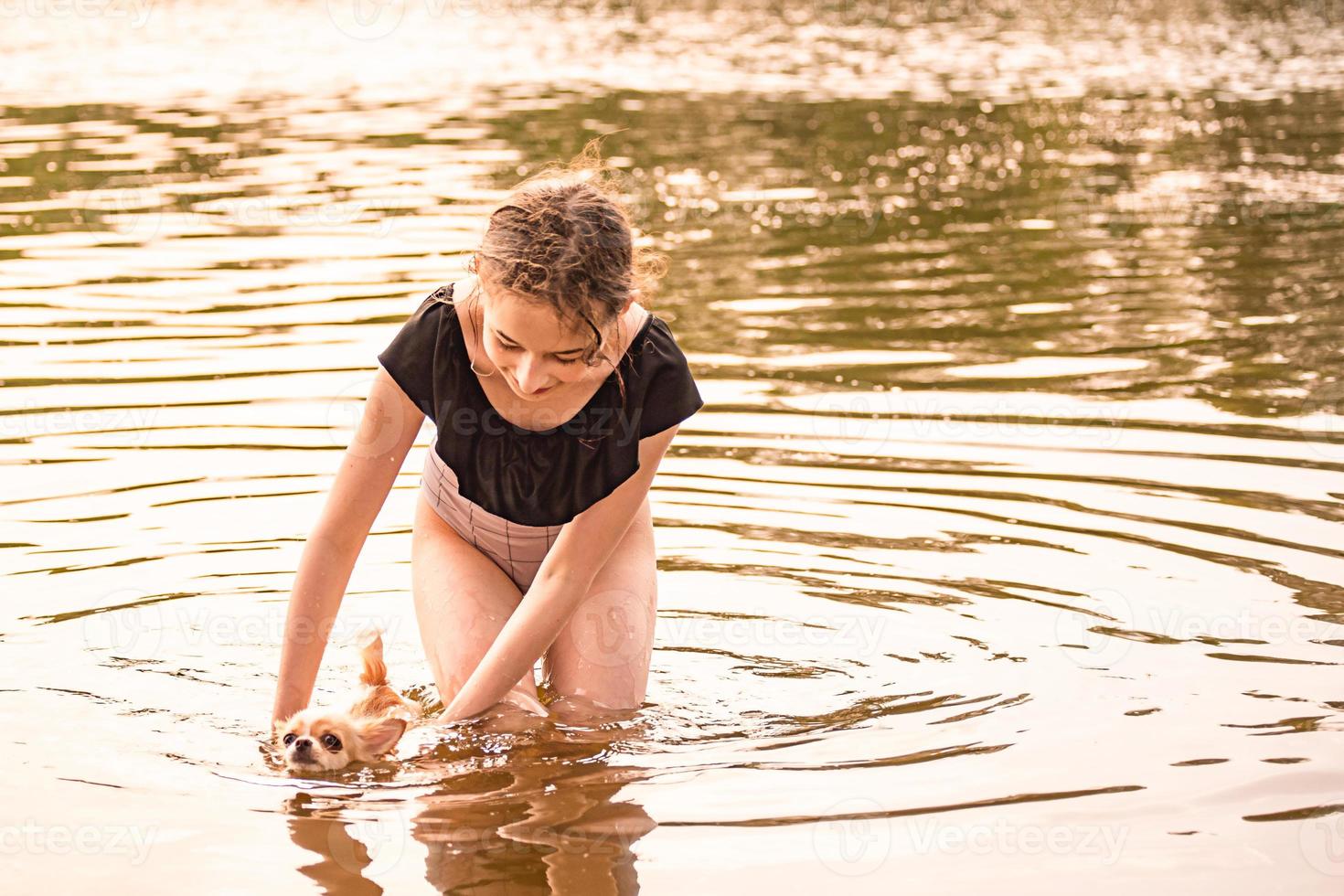 Porträt eines jungen Mädchens mit ihrem Chihuahua. flauschiger Welpe. Mädchen und ein Welpe. Mädchen, Fluss foto