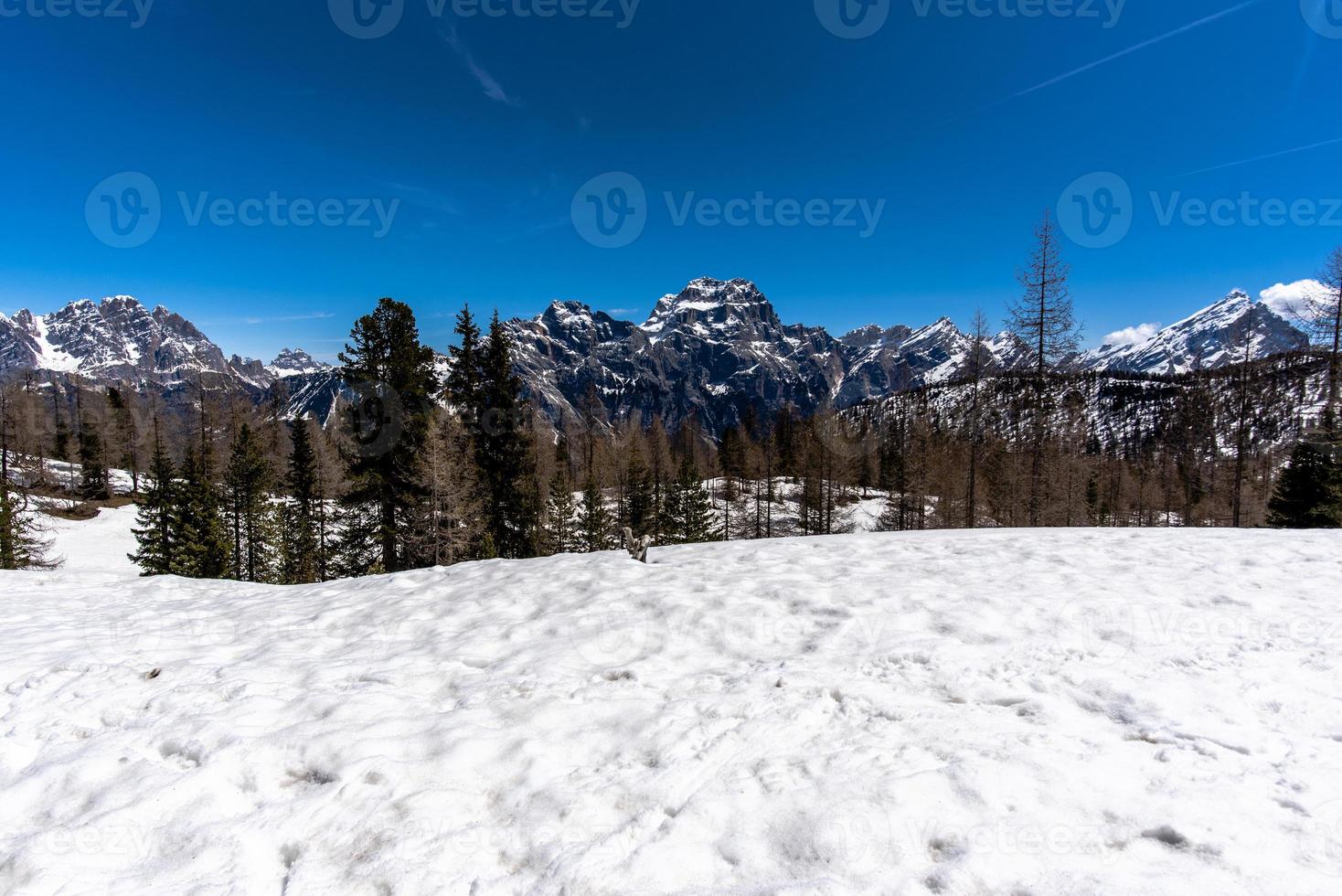 Dolomiten von Cortina d'Ampezzo im oberen Valle del Boite Belluno Italien foto