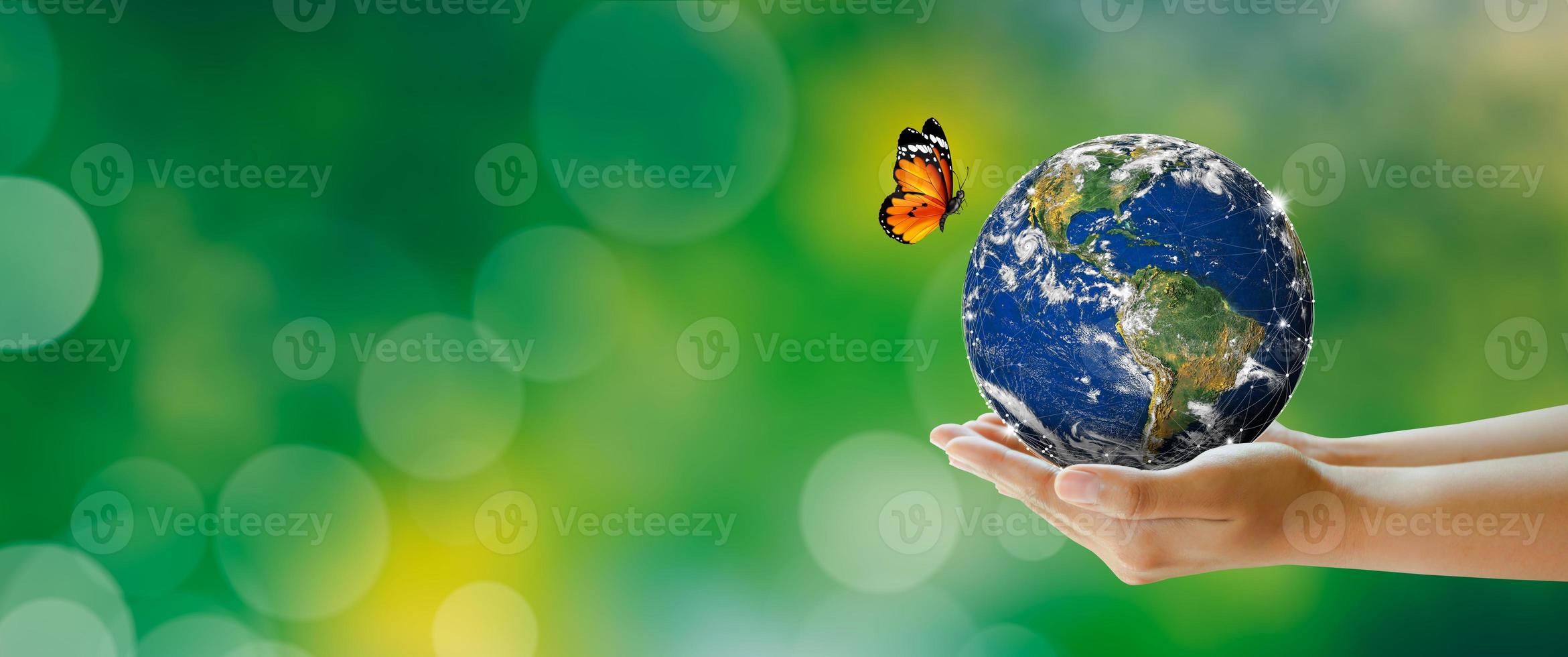 Hand, die Erde mit Schmetterling über grünem Unschärfehintergrund hält foto