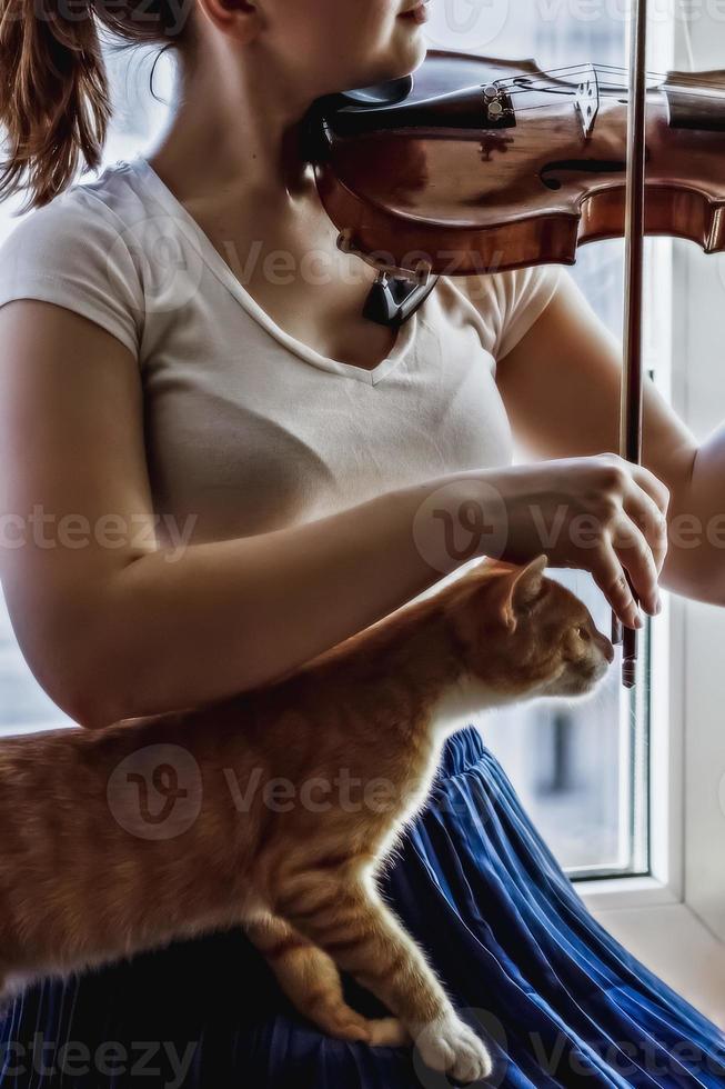 ein junges Mädchen spielt Geige am Fenster mit einer Katze auf dem Schoß foto