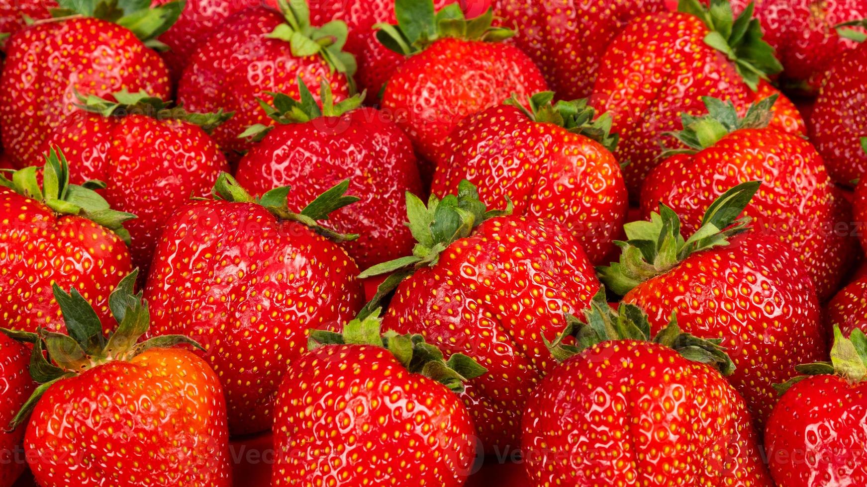 frisch gepflückte Erdbeeren, Erdbeerhintergrund, Beere der Saison foto
