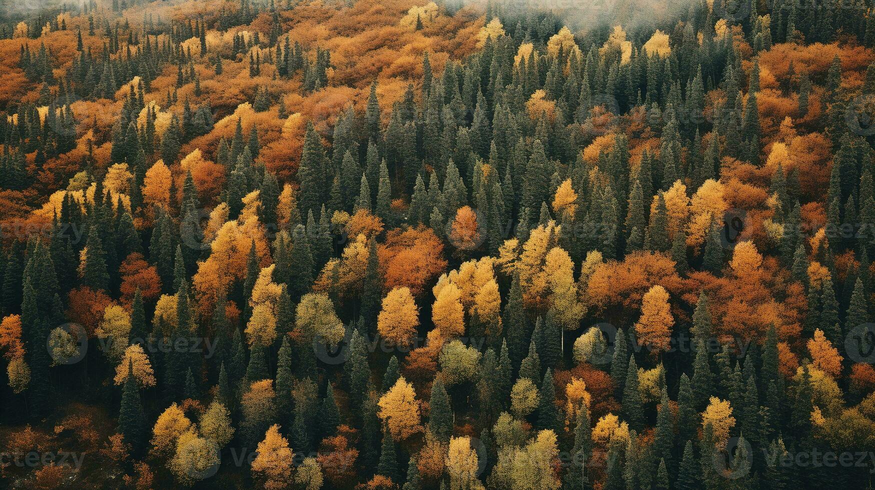 generativ ai, Herbst bunt Wald schön Landschaft im Hipster Jahrgang retro Stil, stumm geschaltet neutral Farben. foto