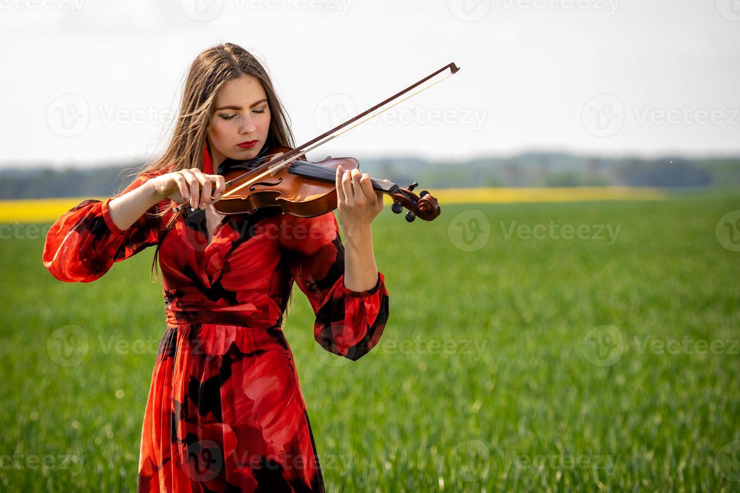 junge Frau im roten Kleid spielt Geige auf grüner Wiese - image foto