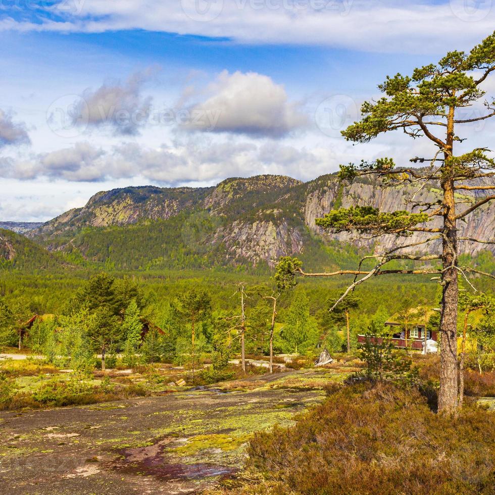 panorama mit tannenbäumen und bergen naturlandschaft nissedal norwegen. foto