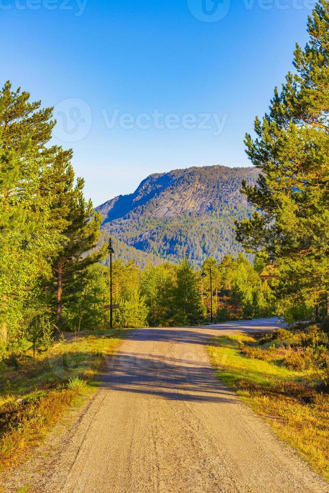 morgens sonnenaufgang mit bergen hütten natur waldlandschaft nissedal norwegen. foto