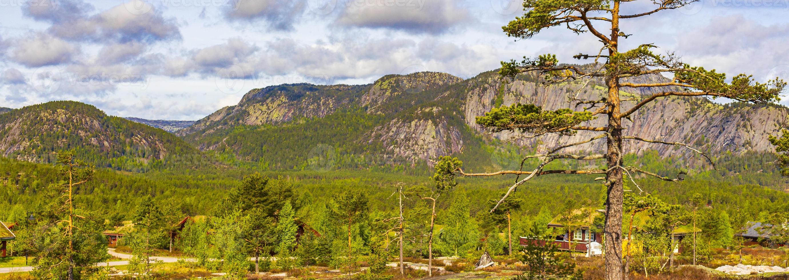 panorama mit tannenbäumen und bergen naturlandschaft nissedal norwegen. foto