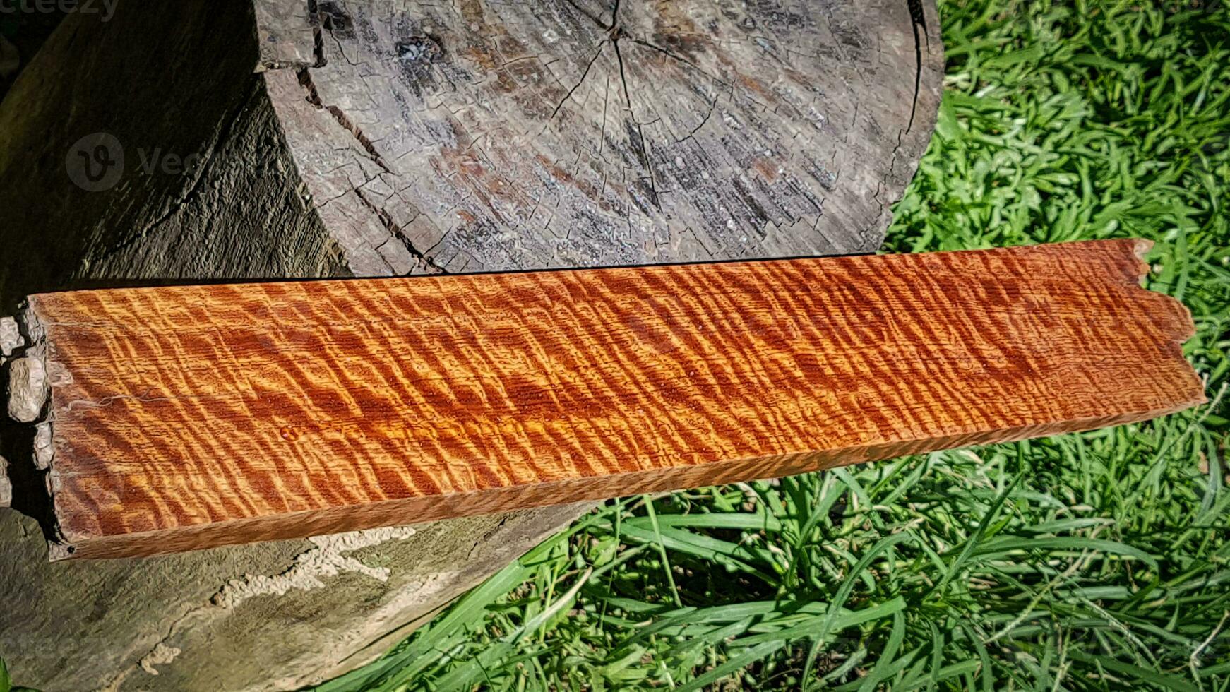 Natur Burma Padauk Holz hat Tigerstreifen oder lockige Streifen Maserung foto