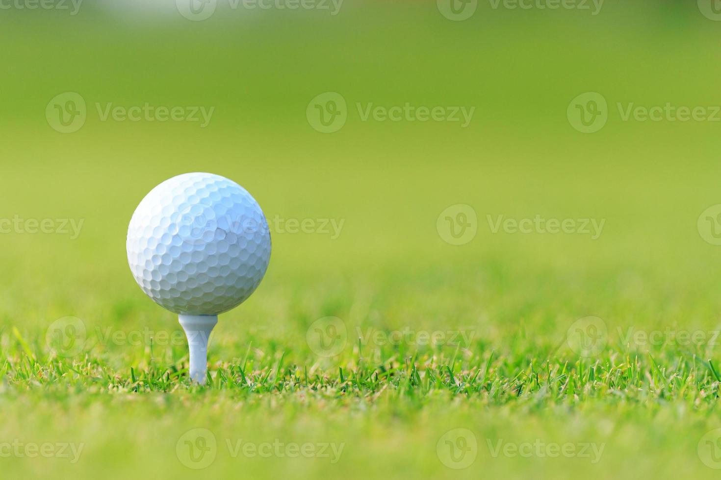 Golfball auf Tee auf grünem Gras, Golfplatz foto