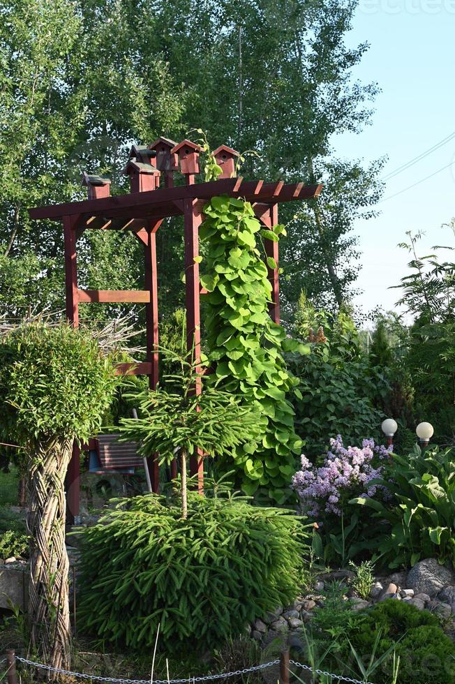 Gartenblick mit vielen Pflanzen foto