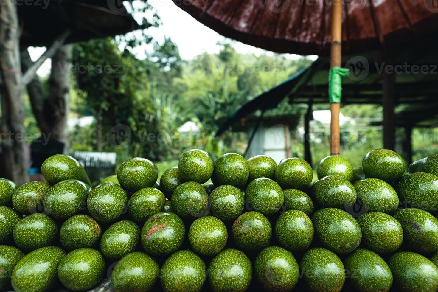 Avocados auf einem Tisch auf einem Straßenmarkt foto