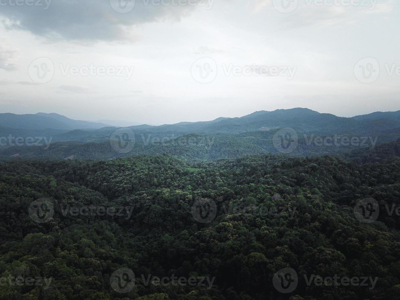 grüner Wald in den Tropen von oben foto