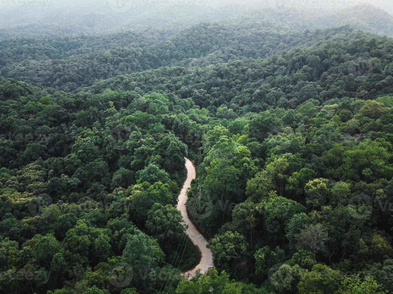 grüner Wald in den Tropen von oben foto