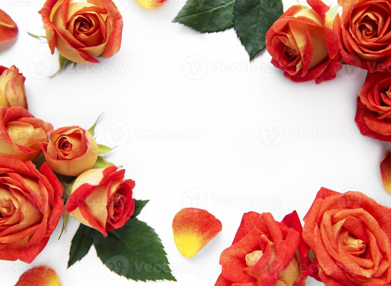 Blumen Zusammensetzung. Rahmen aus roten Rosen und Blättern auf weißem Hintergrund foto