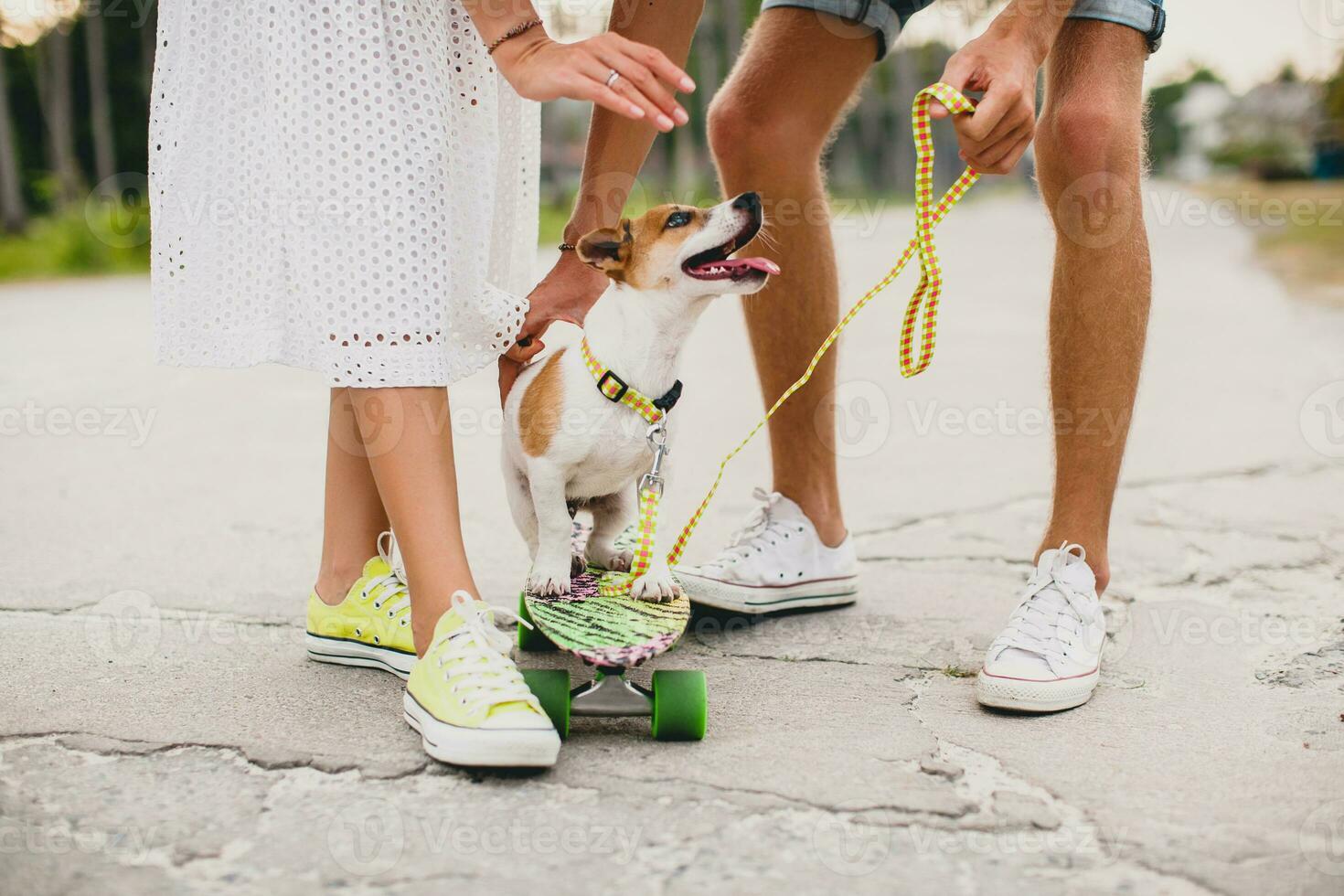 jung stilvoll Hipster Paar im Liebe auf Ferien mit Hund und Skateboard, foto