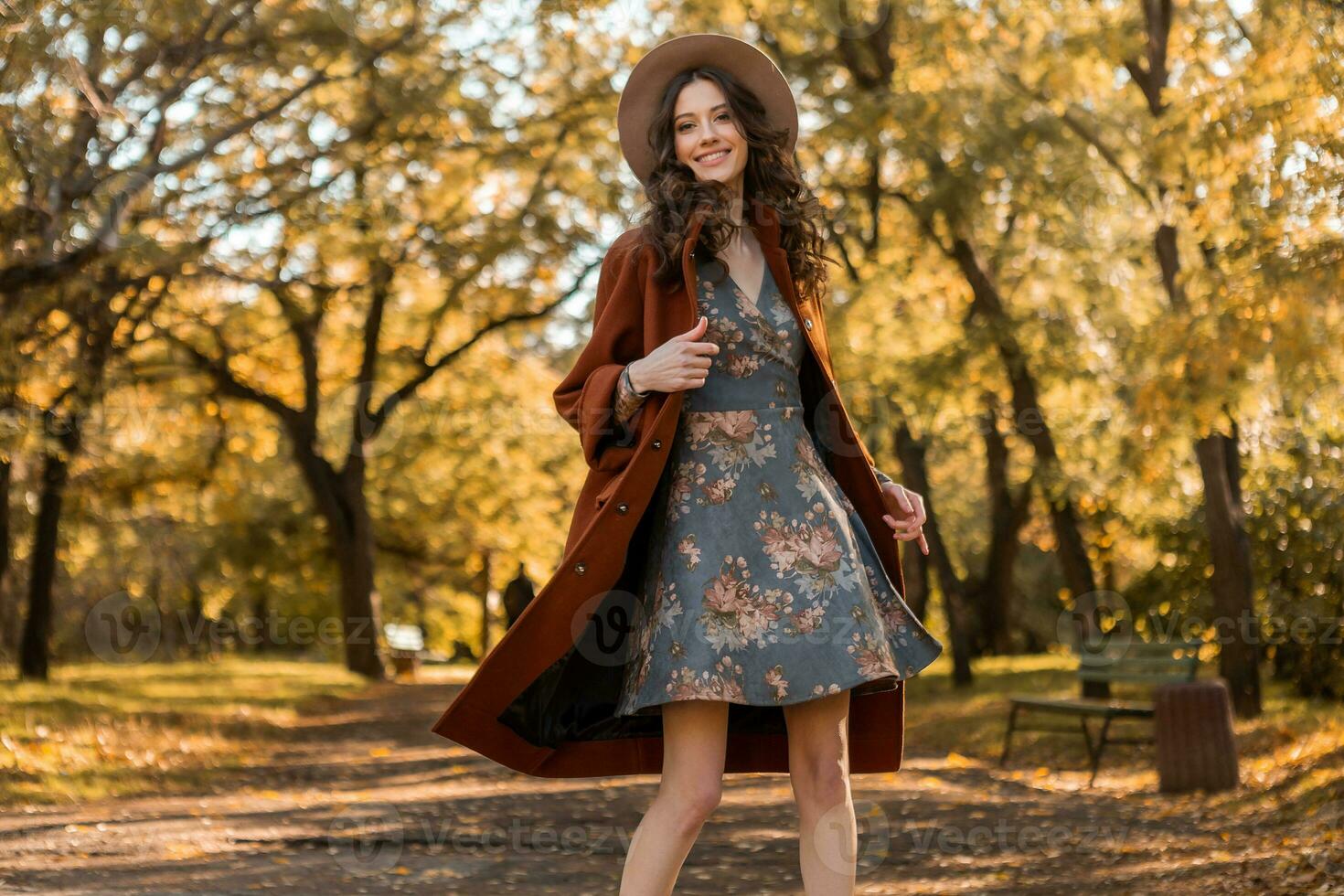 attraktiv stilvoll Frau Gehen im Park gekleidet im warm braun Mantel foto