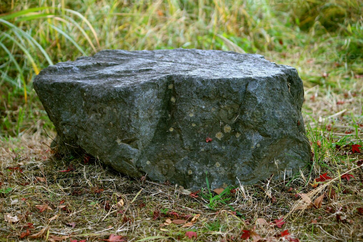 das Steine sind auf das Gras, Felsen sind zum Sitze foto