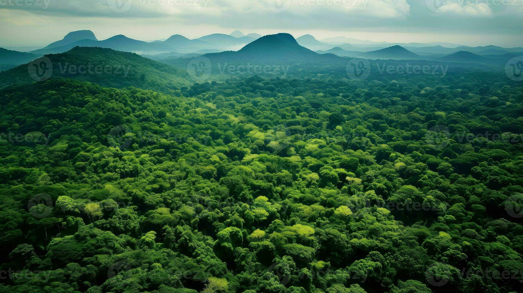 Natur nicaraguanisch Regenwald Regenwald ai generiert foto