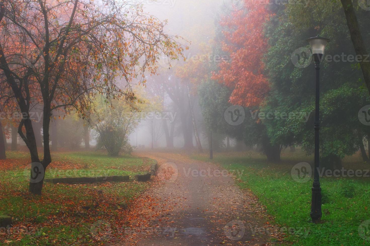 schöne Herbstlandschaft. nebliger Park. foto