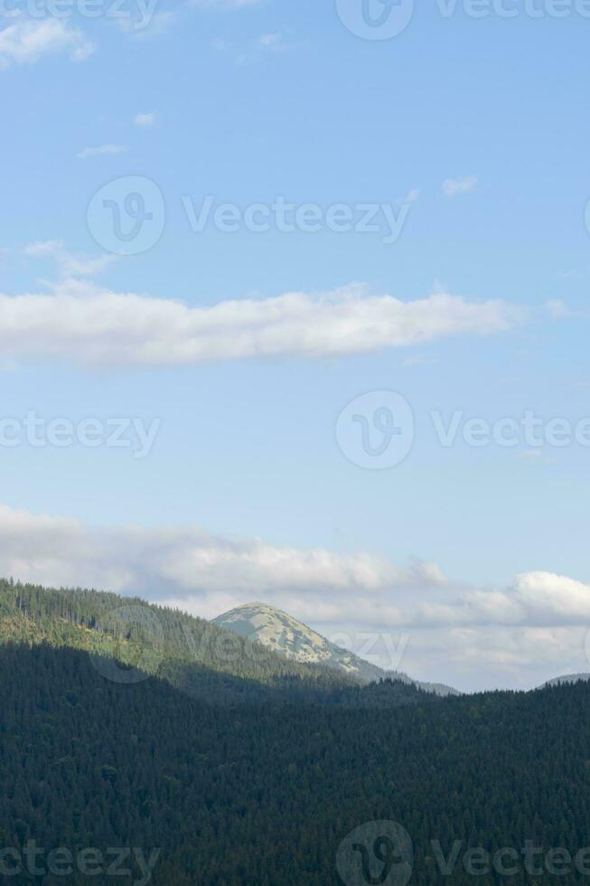 Berg Landschaft mit Wald im das Karpaten Berge von Ukraine. foto