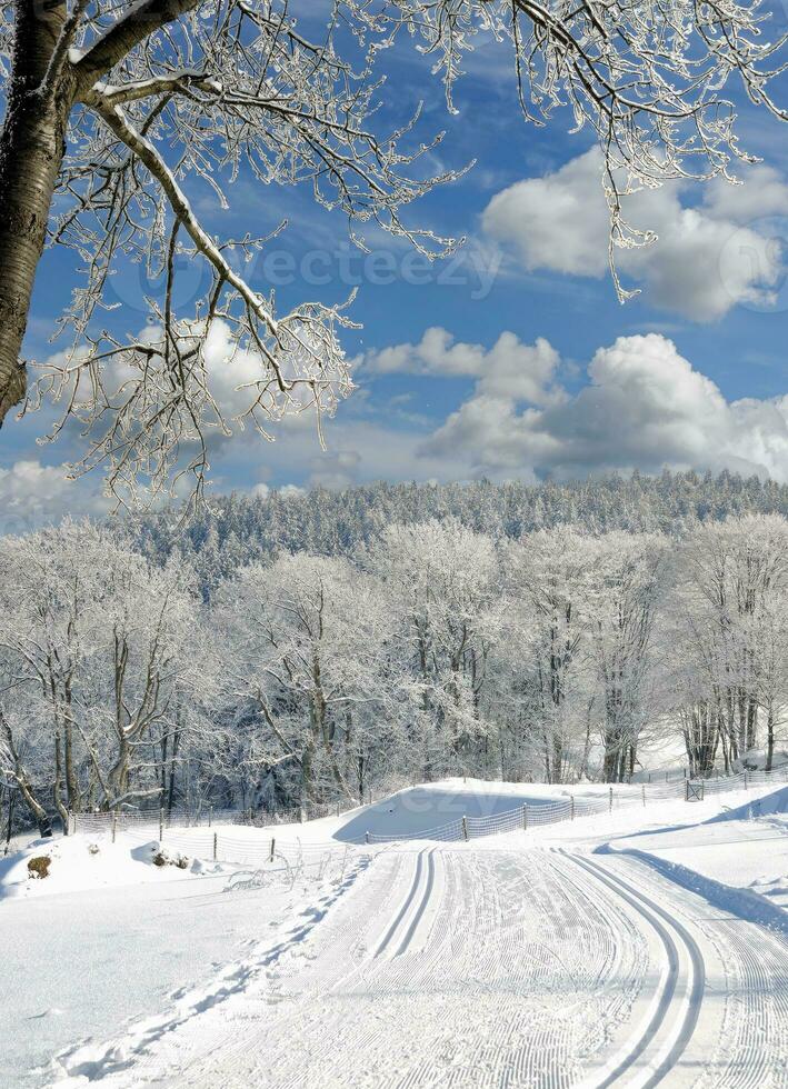 Winter im bayerisch Wald, Bayern, Deutschland foto