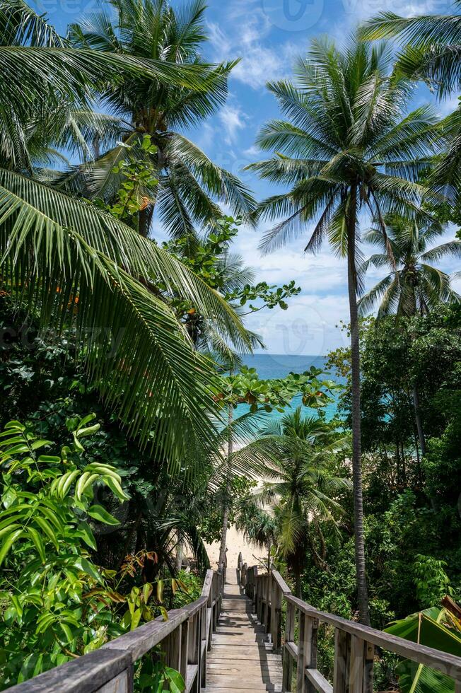 das hölzern Brücke geht Nieder zu das Naithon Strand beim Phuket, Thailand foto