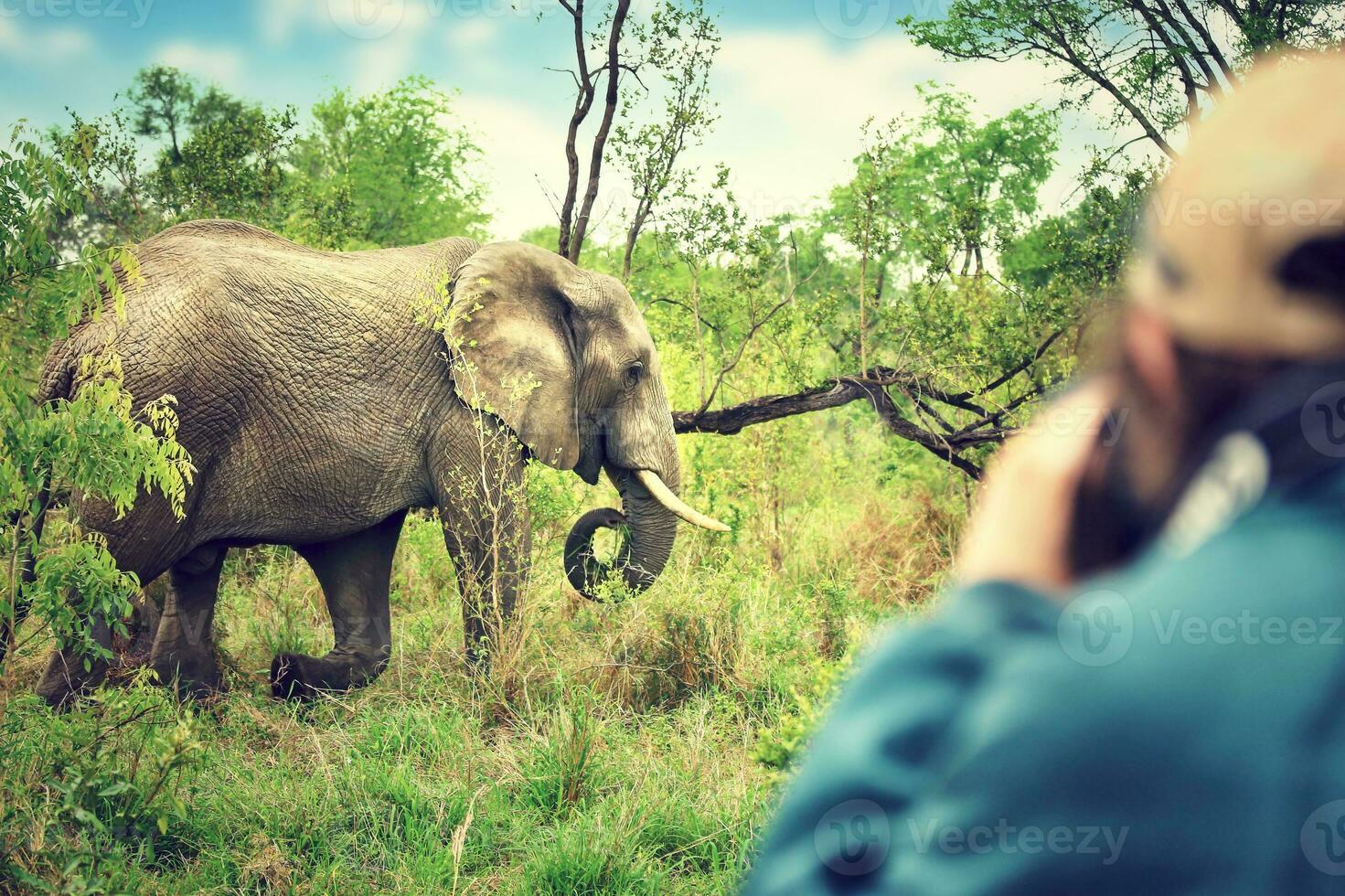 Fotograf nehmen Safari Bilder foto