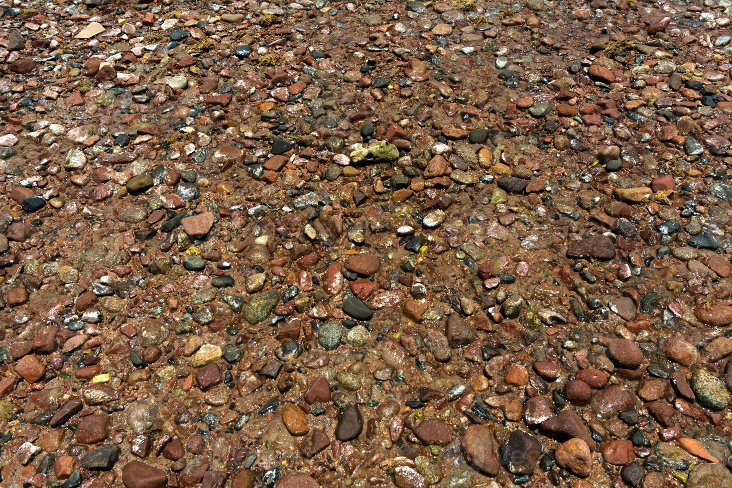 Steinbeschaffenheitsmuster am Strand Rotes Meer Dahab Ägypten foto
