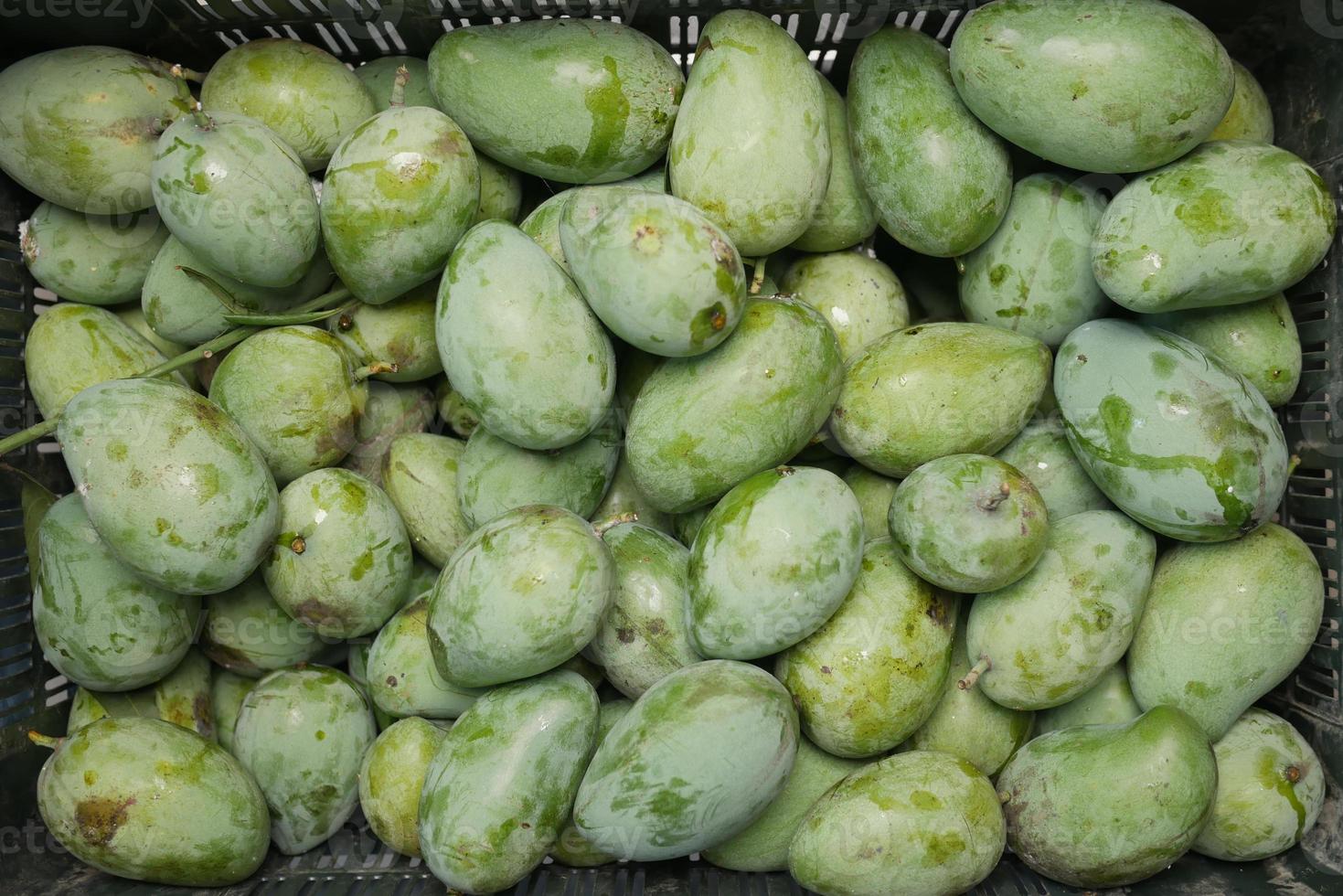 frische grüne Mango auf schwarzem Hintergrund von oben nach unten. foto