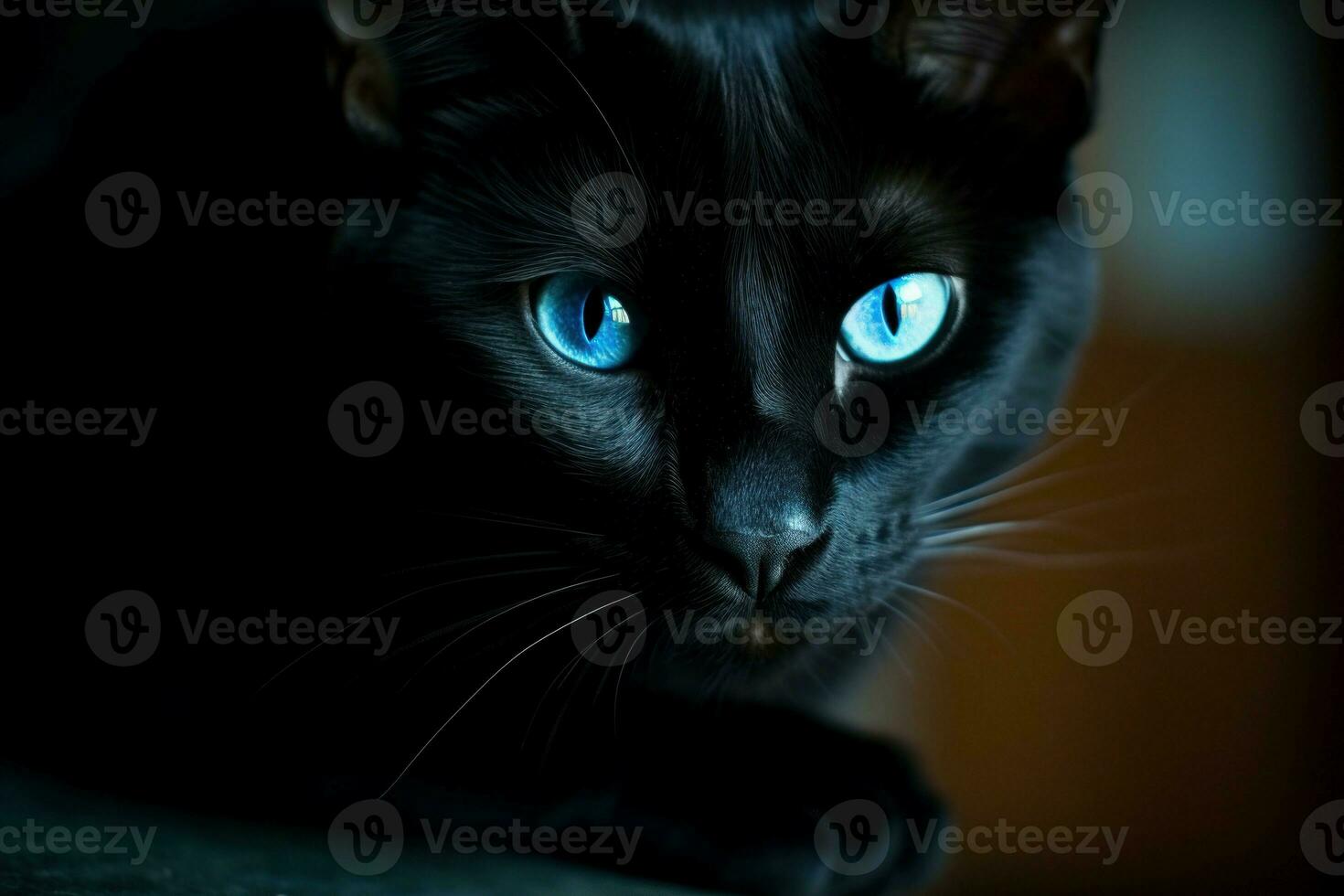 glatt schwarz Katze Blau Augen. generieren ai foto