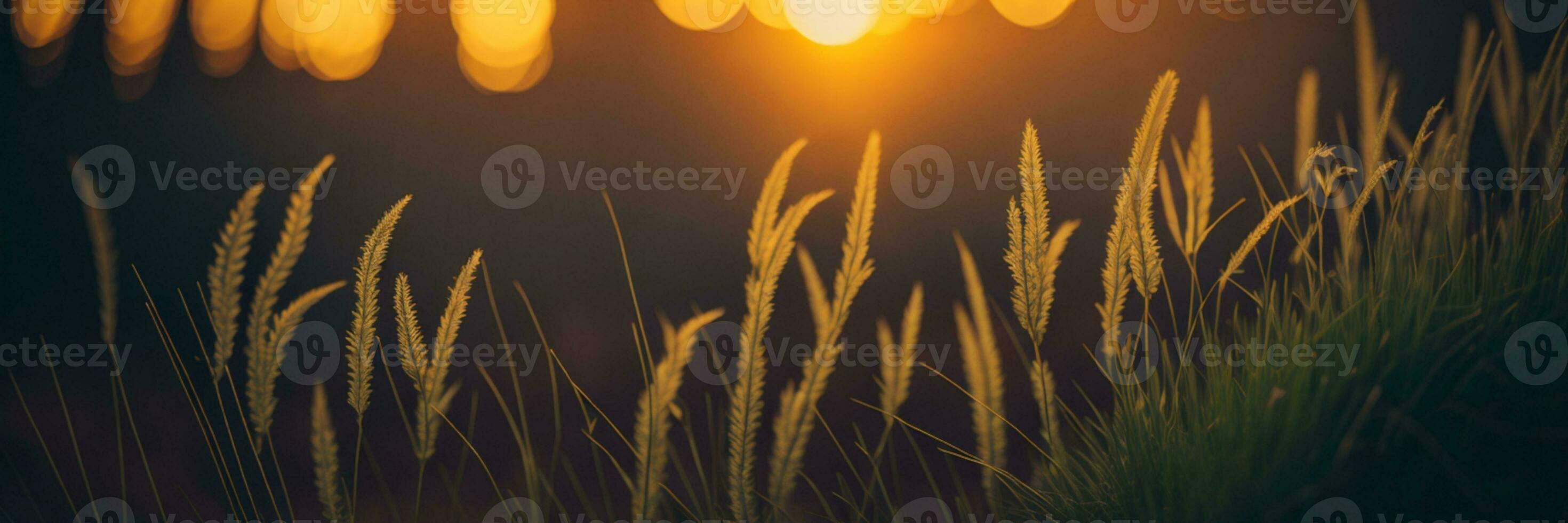 wild Gras im das Wald beim Sonnenuntergang. Makro Bild, flach Tiefe von Feld. abstrakt Sommer- Natur Hintergrund. Jahrgang Filter. ai generiert foto