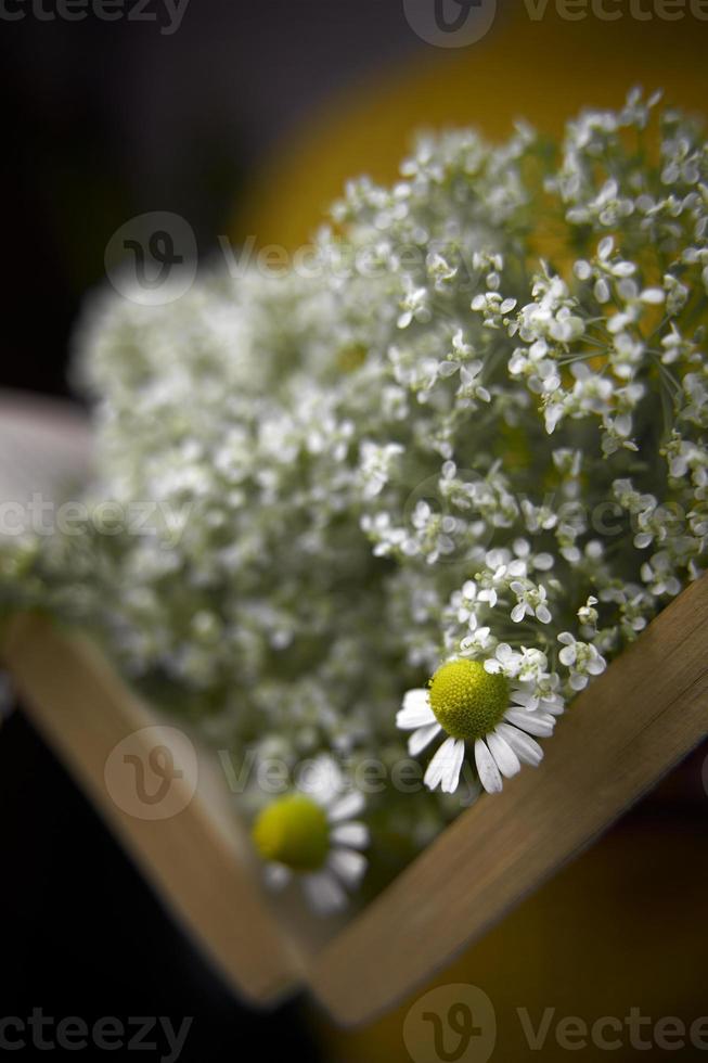 Nahaufnahme des offenen Buches mit Wildblumen. foto