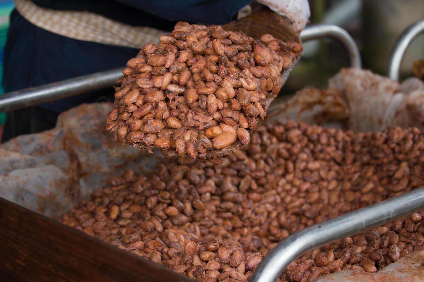 fermentierte und frische Kakaobohnen liegen in der Holzkiste foto