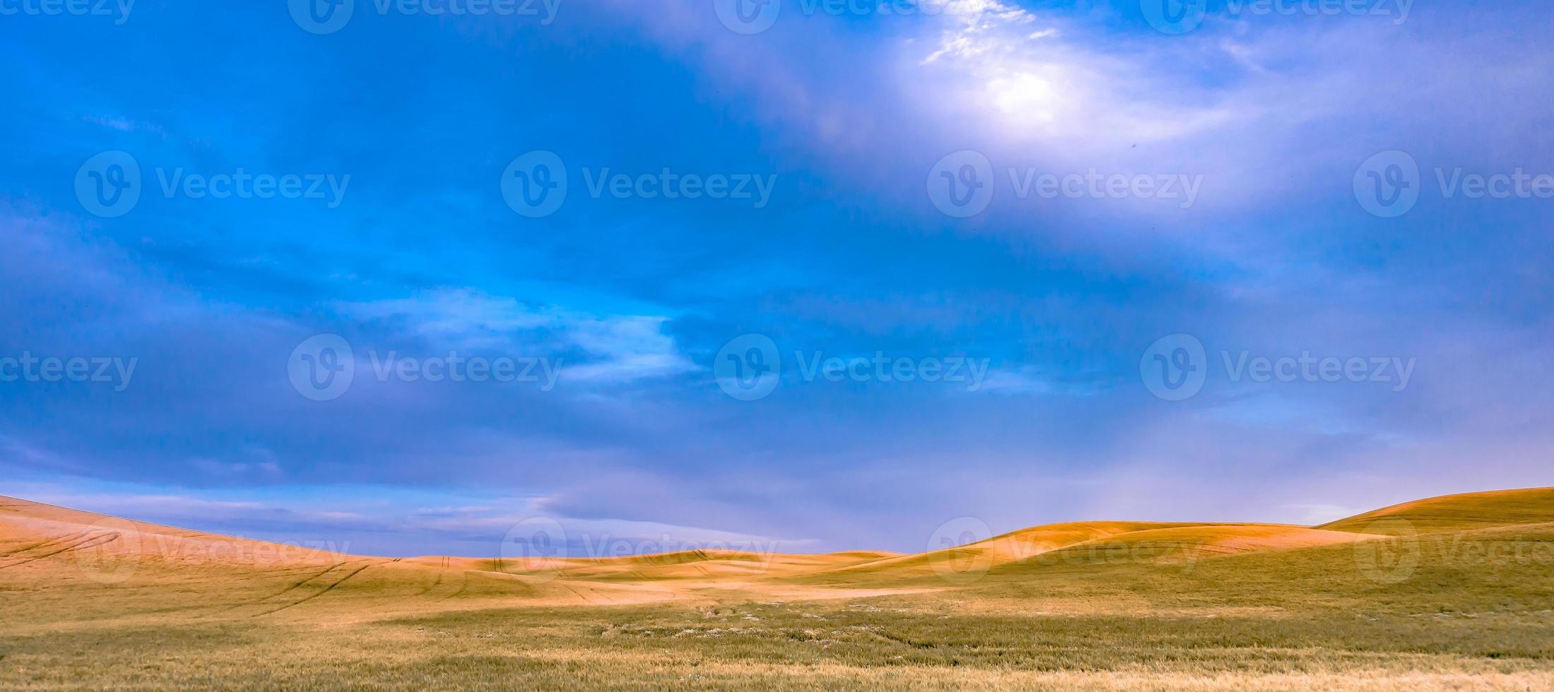 Sanfte Hügel und Ackerland in Palouse Washington foto